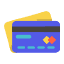Credit / Debit Card